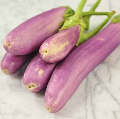 Baklažaan Kashmiri Brinjal Eggplant